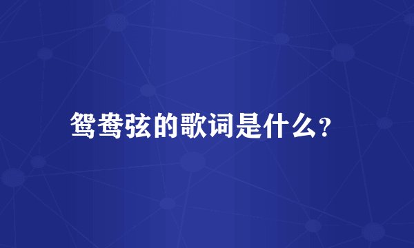 鸳鸯弦的歌词是什么？