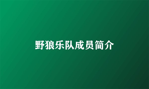 野狼乐队成员简介
