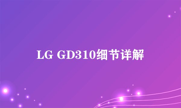 LG GD310细节详解