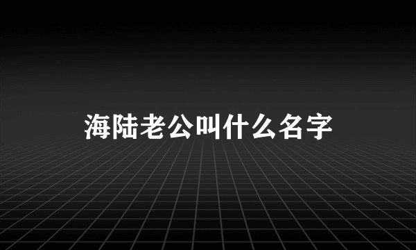 海陆老公叫什么名字