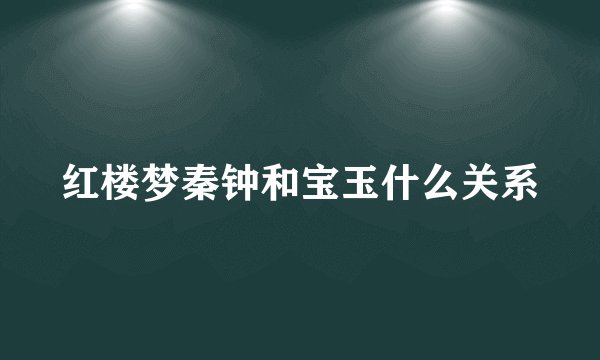 红楼梦秦钟和宝玉什么关系