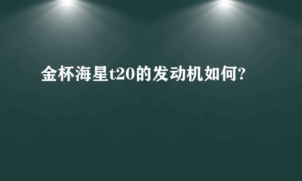 金杯海星t20的发动机如何?