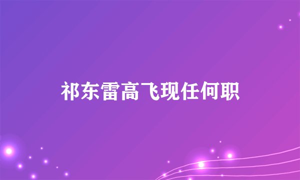祁东雷高飞现任何职