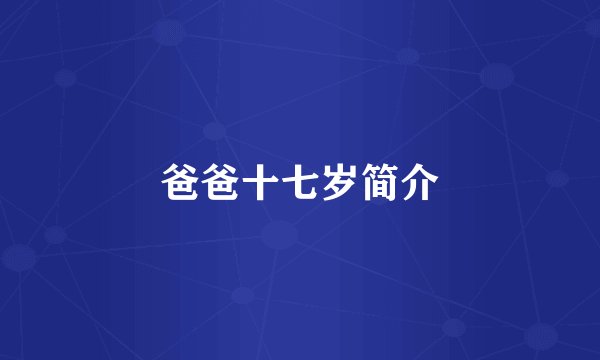 爸爸十七岁简介