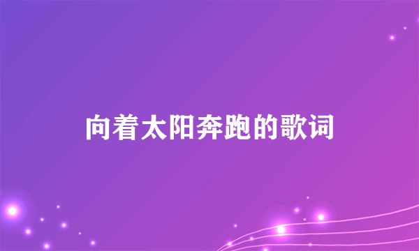 向着太阳奔跑的歌词