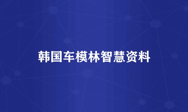 韩国车模林智慧资料