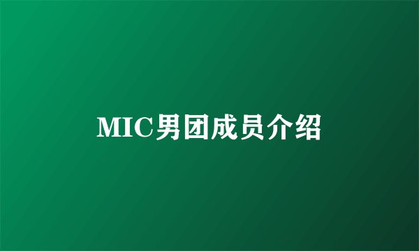 MIC男团成员介绍