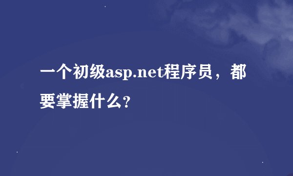 一个初级asp.net程序员，都要掌握什么？