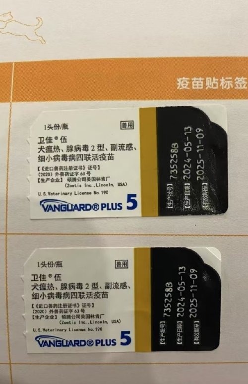 纯种巨贵犬多少钱一只?