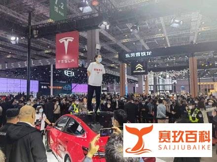 衣服上写着：刹车失灵。特斯拉车主上海车展现场维权。被拖出场