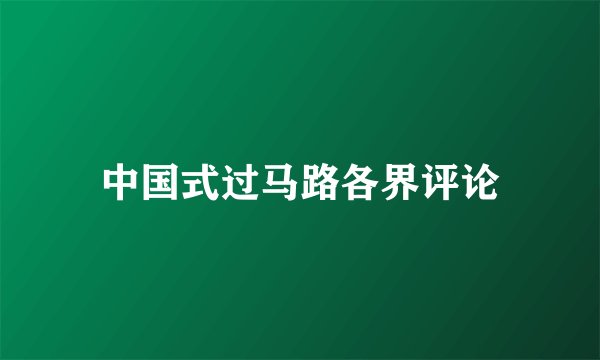中国式过马路各界评论