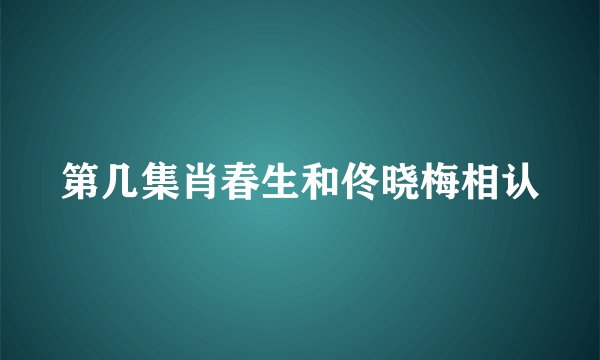 第几集肖春生和佟晓梅相认