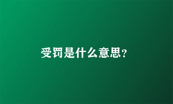 受罚是什么意思？