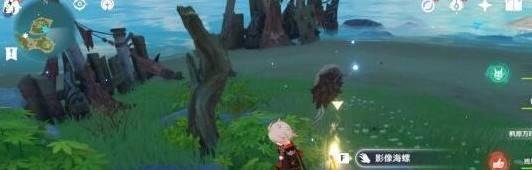 原神破破岛幻境海螺位置在哪