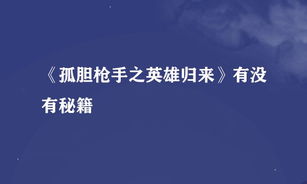 《孤胆枪手之英雄归来》有没有秘籍