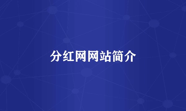 分红网网站简介