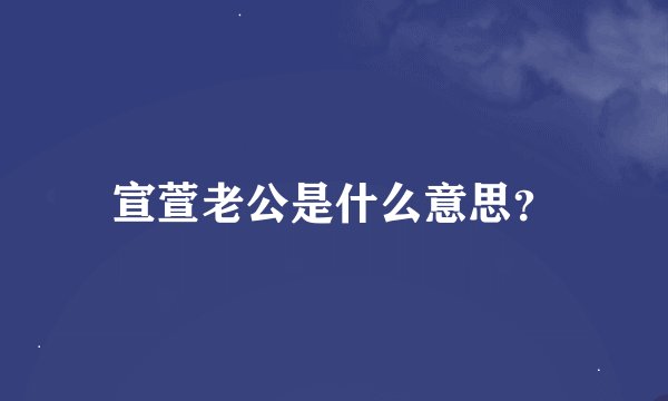 宣萱老公是什么意思？
