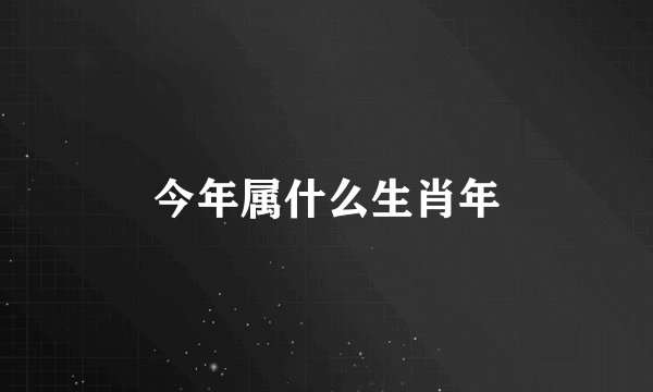 今年属什么生肖年