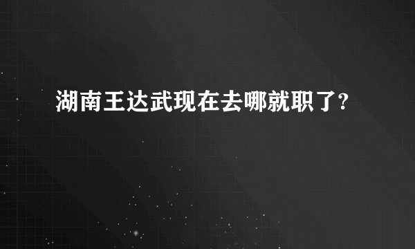 湖南王达武现在去哪就职了?