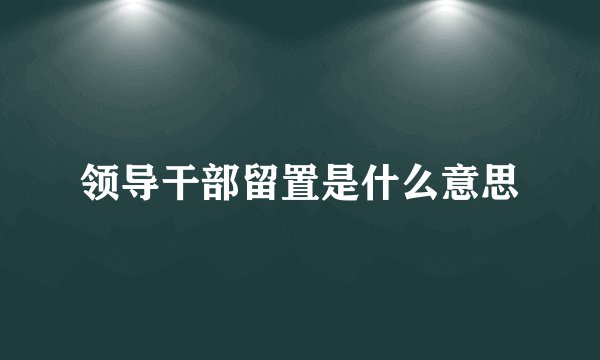 领导干部留置是什么意思