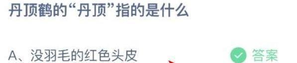 丹顶鹤的“丹顶”指的是什么？蚂蚁庄园答案