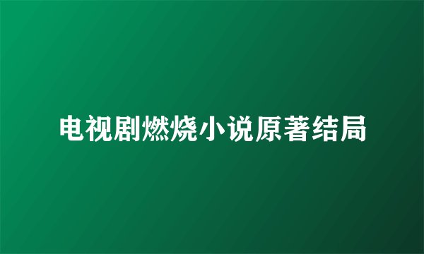 电视剧燃烧小说原著结局