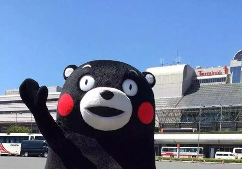 熊本熊冲到重庆江边一脸懵，它经历了怎样的奇幻漂流？