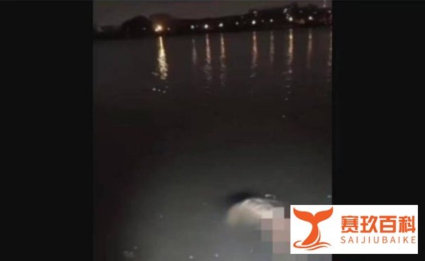 广东一男子直播夜间钓鱼，结果竟然钓到一具浮尸，吓得赶紧报警