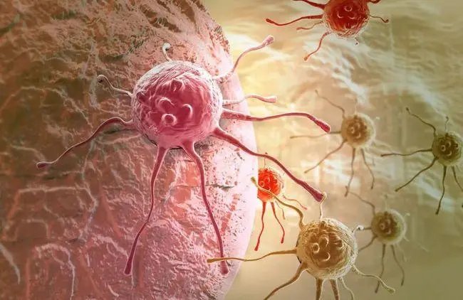 科学家说癌细胞是人类进化的未来，这是真的吗？