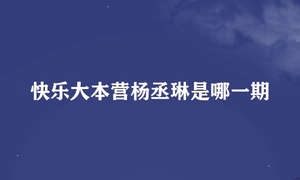 快乐大本营杨丞琳是哪一期