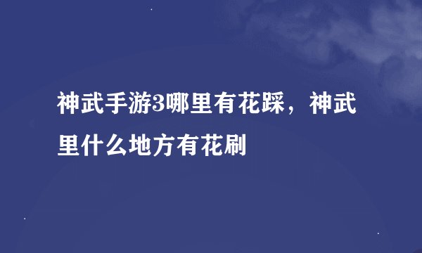 神武手游3哪里有花踩，神武里什么地方有花刷