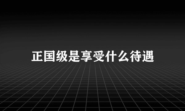 正国级是享受什么待遇