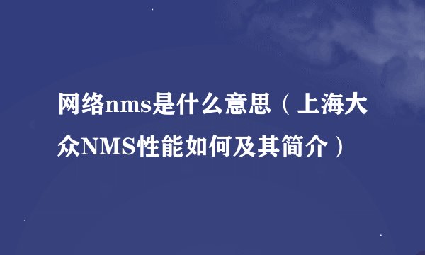网络nms是什么意思（上海大众NMS性能如何及其简介）