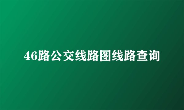 46路公交线路图线路查询