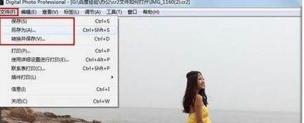 cr2格式的文件怎么打开