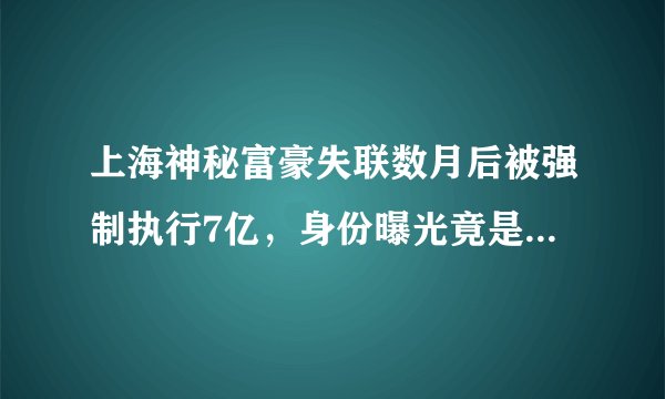 上海神秘富豪失联数月后被强制执行7亿，身份曝光竟是央视一姐董卿丈夫