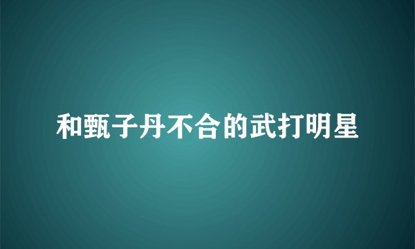 和甄子丹不合的武打明星