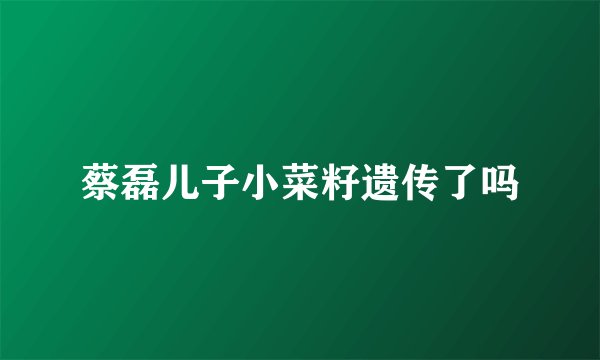 蔡磊儿子小菜籽遗传了吗