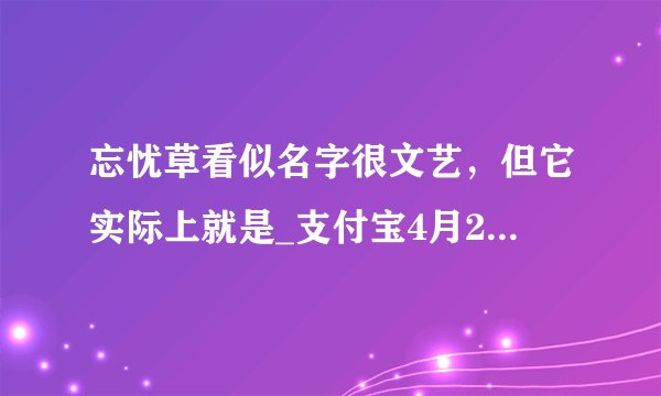 忘忧草看似名字很文艺，但它实际上就是_支付宝4月22日每日一题