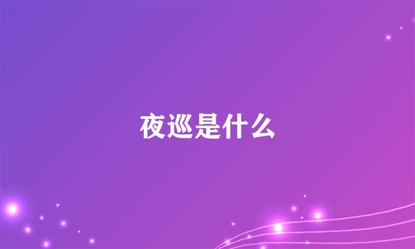 夜巡是什么