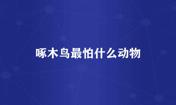 啄木鸟最怕什么动物