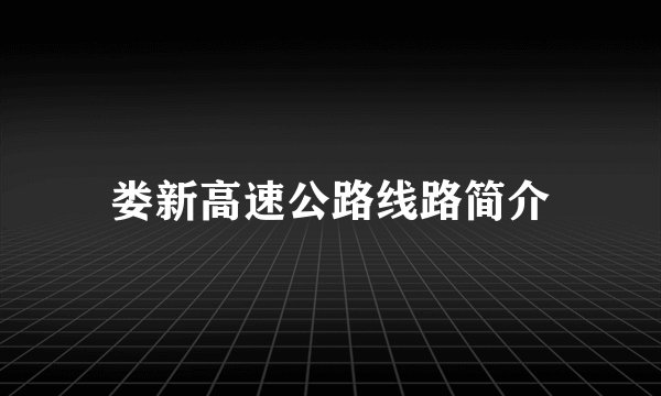 娄新高速公路线路简介
