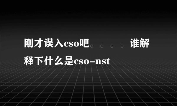 刚才误入cso吧。。。。谁解释下什么是cso-nst