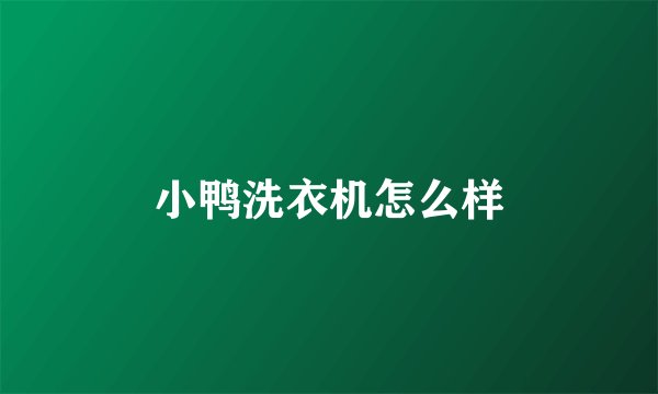 小鸭洗衣机怎么样