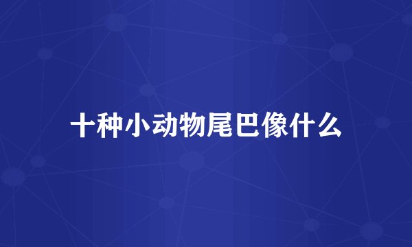 十种小动物尾巴像什么