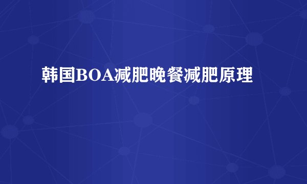 韩国BOA减肥晚餐减肥原理