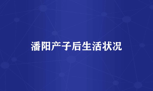 潘阳产子后生活状况