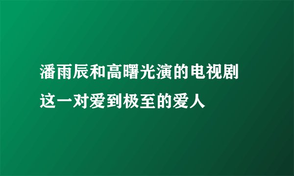 潘雨辰和高曙光演的电视剧 这一对爱到极至的爱人