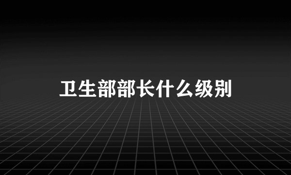 卫生部部长什么级别