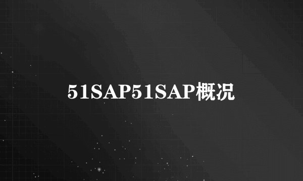 51SAP51SAP概况